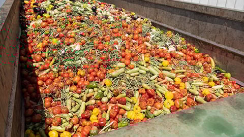 Expired Vegetables Teaser